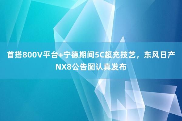 首搭800V平台+宁德期间5C超充技艺，东风日产NX8公告图认真发布
